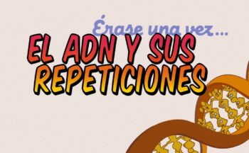 Fotografía ilustrativa de la actividad Érase una vez: El ADN y sus repeticiones