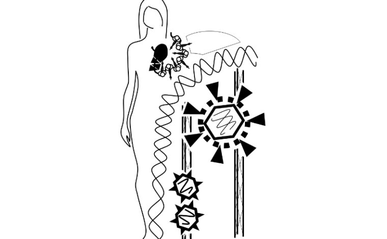 Imagen ilustrativa de la actividad