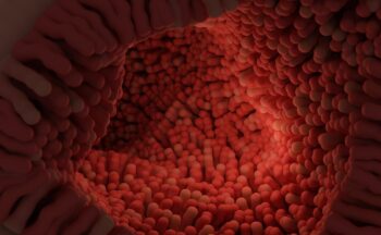 Fotografía ilustrativa de la actividad La relación entre la microbiota y la salud mental: análisis sistemático
