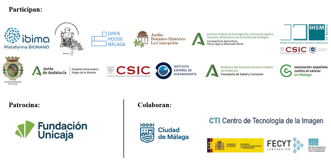 Logotipo tamaño grande