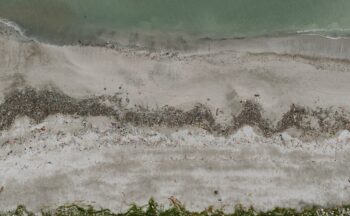 Fotografía ilustrativa de la actividad Red Coastwatch Europe en España: ciencia ciudadana como herramienta de educación para la gestión costera participativa
