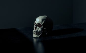 Fotografía ilustrativa de la actividad De la Prehistoria Evolutiva a la Edad Moderna: Estructuras anato-fisiológicas vestigiales en humanos