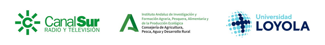 Logotipo tamaño grande