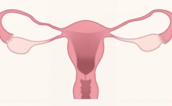 Fotografía ilustrativa de la actividad Sexualidad en la menopausia