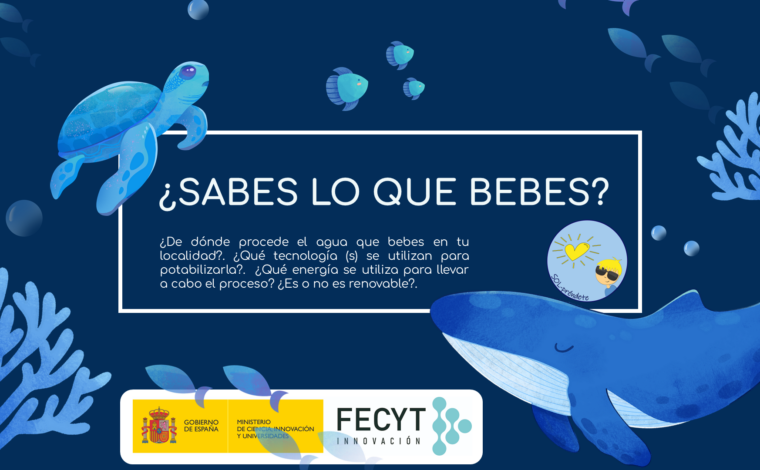 Imagen ilustrativa de la actividad