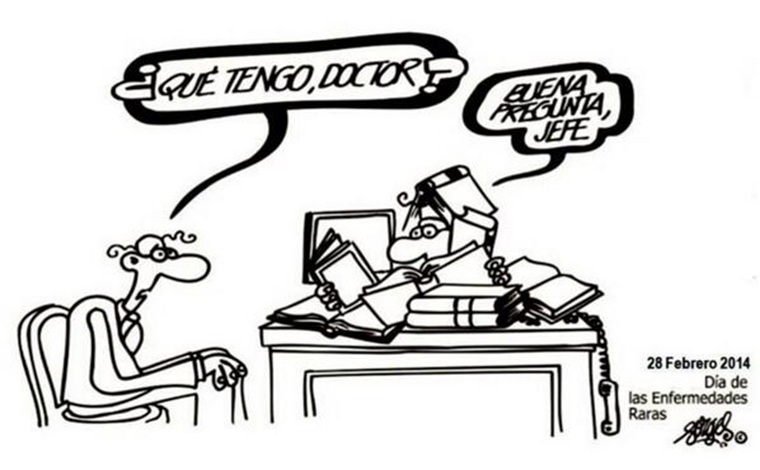 Imagen ilustrativa de la actividad