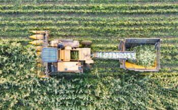 Fotografía ilustrativa de la actividad Innovación y Sostenibilidad en Agroalimentación