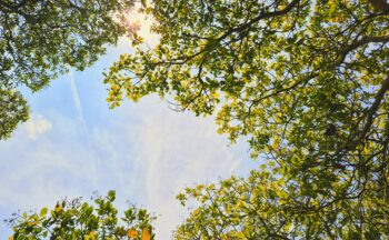 Fotografía ilustrativa de la actividad Materiales inorgánicos para la descontaminación ambiental