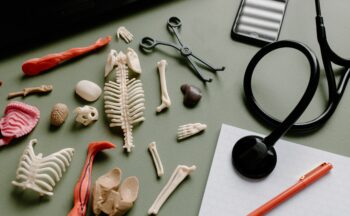 Fotografía ilustrativa de la actividad Pequeños Anatomistas: explorando el cuerpo humano