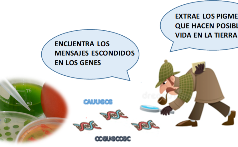 Imagen ilustrativa de la actividad