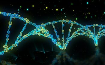 Fotografía ilustrativa de la actividad Genes a la vista