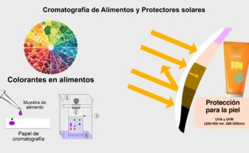 Fotografía ilustrativa de la actividad Luz invisible, colores ocultos: Ciencia en la piel y en tu comida