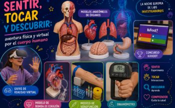 Fotografía ilustrativa de la actividad Sentir, tocar y descubrir: aventura física y virtual por el cuerpo humano
