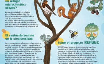 Fotografía ilustrativa de la actividad Junglas de bolsillo: refugios de biodiversidad en la ciudad