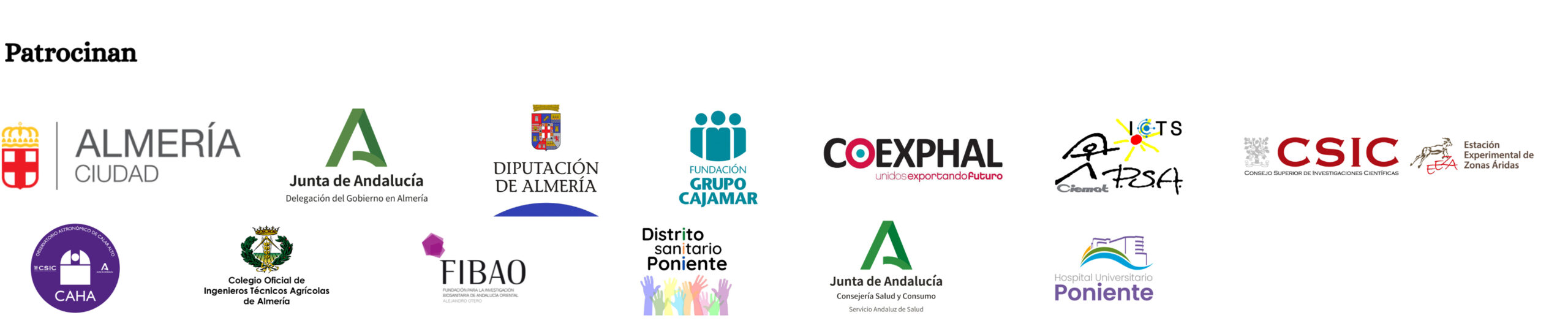 Logotipo tamaño grande