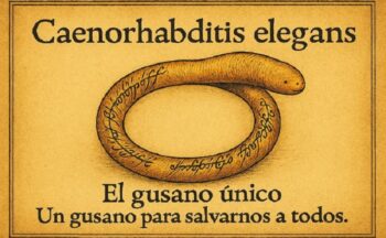Fotografía ilustrativa de la actividad El Gusano Único. Un modelo para salvarnos a todos