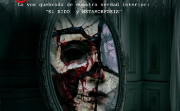 Fotografía ilustrativa de la actividad El Silencio