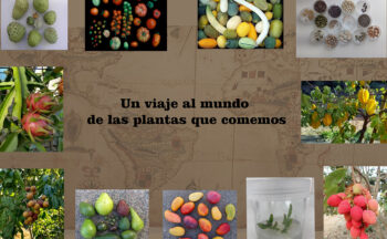 Fotografía ilustrativa de la actividad Un viaje al mundo de las plantas que comemos