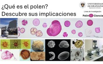 Fotografía ilustrativa de la actividad ¿Qué es el polen? Descubre sus implicaciones.