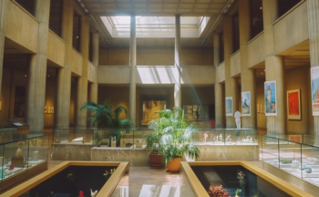 Fotografía ilustrativa de la actividad El Museo de los Sentidos