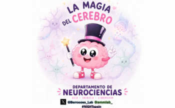 Fotografía ilustrativa de la actividad La magia del cerebro (versión 2026)
