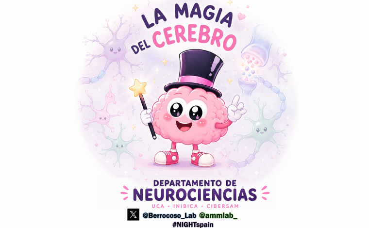 Imagen ilustrativa de la actividad