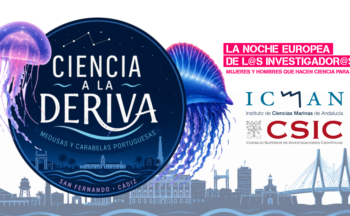Fotografía ilustrativa de la actividad Ciencia a la deriva: medusas y carabelas portuguesas