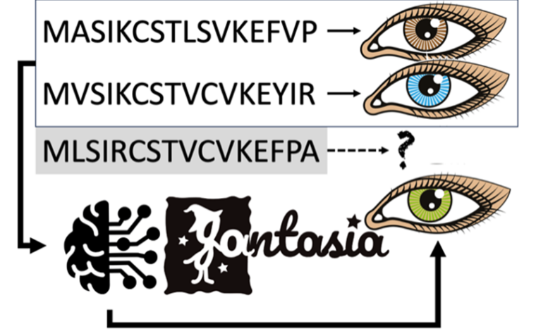 Imagen ilustrativa de la actividad