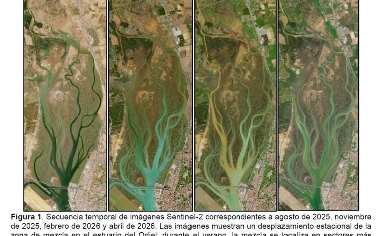 Imagen ilustrativa de la actividad