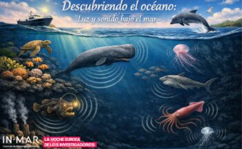 Fotografía ilustrativa de la actividad Descubriendo el océano: luz y sonido bajo el mar