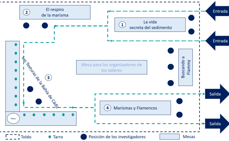 Imagen ilustrativa de la actividad