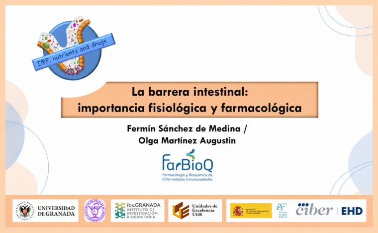 Imagen ilustrativa de la actividad