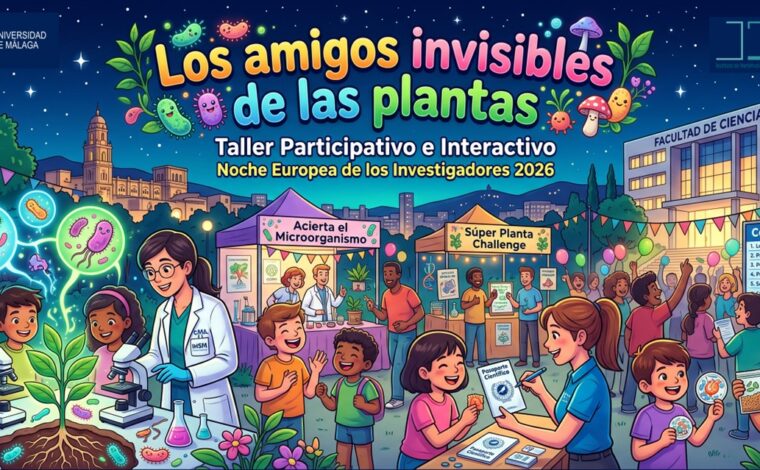 Imagen ilustrativa de la actividad