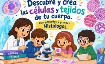 Fotografía ilustrativa de la actividad Descubre y crea las células y tejidos de tu cuerpo. Para pequeños y grandes Histólogos