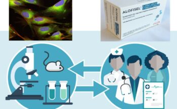 Fotografía ilustrativa de la actividad ¿Cómo se descubre un nuevo medicamento?