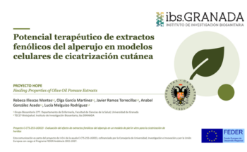 Fotografía ilustrativa de la actividad Potencial terapéutico de extractos fenólicos del alperujo en modelos celulares de cicatrización cutánea