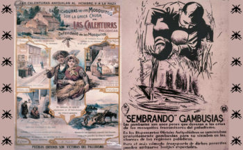 Fotografía ilustrativa de la actividad ¿Puede la malaria llegar aquí?