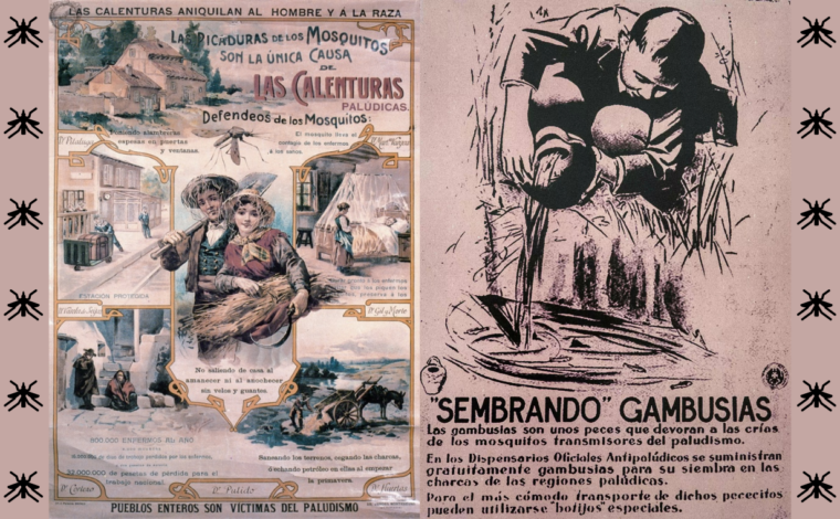 Imagen ilustrativa de la actividad