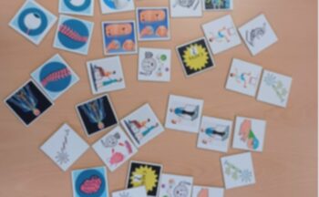 Fotografía ilustrativa de la actividad Ejercita tu memoria y aprende sobre enfermedades