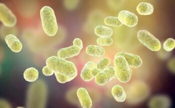 Fotografía ilustrativa de la actividad Microbiota intestinal y salud: el impacto silencioso de los plásticos